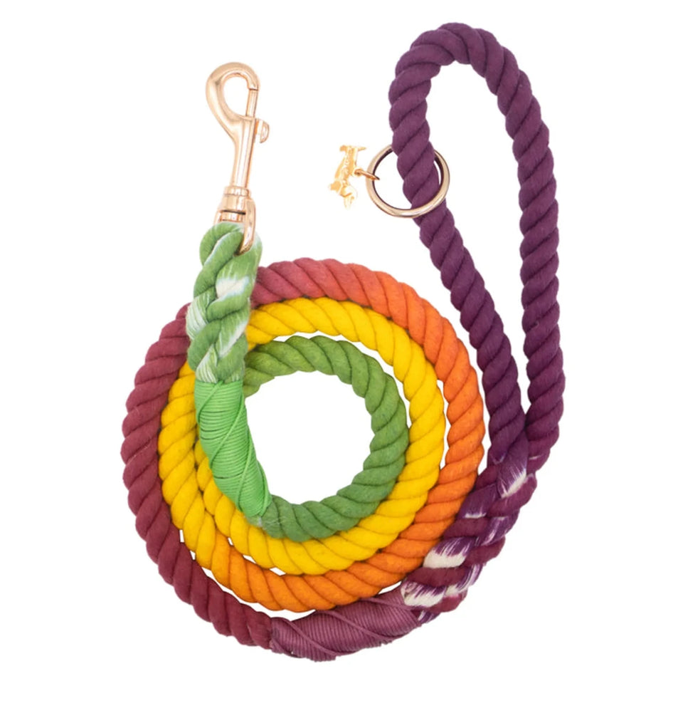 Rope Dog Leash - 5 ft - Pets Perfect