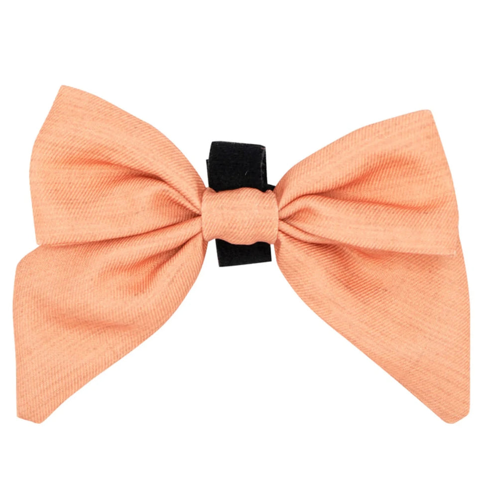 Sailor Bow - Pets Perfect