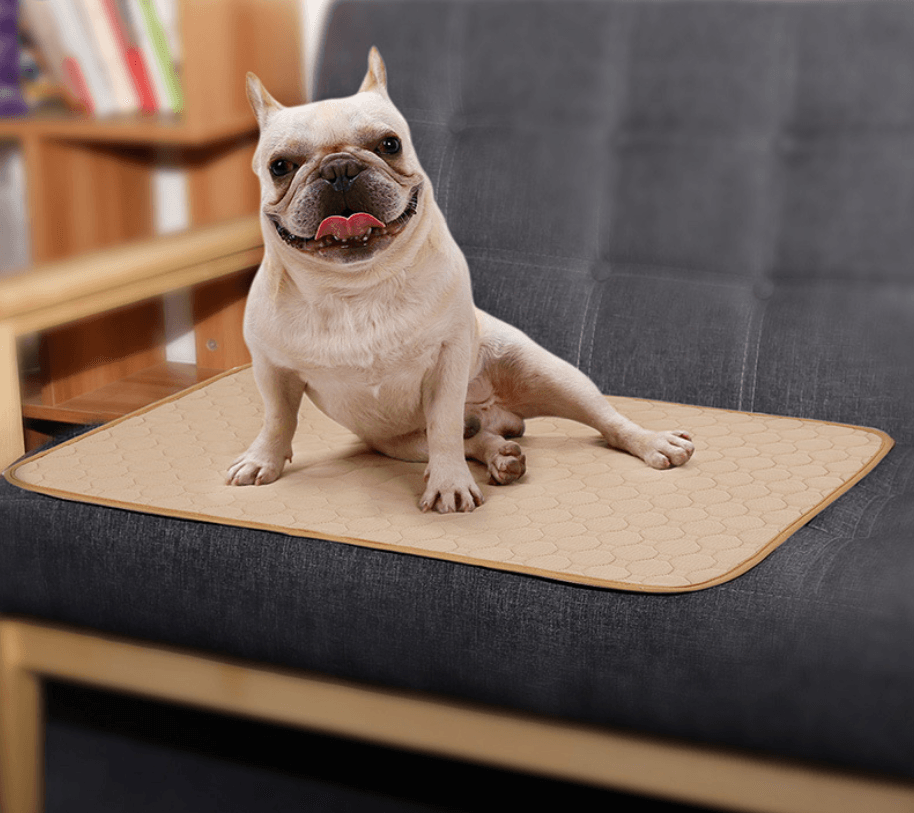 Pet Comfort Care Absorbent Diaper Mat