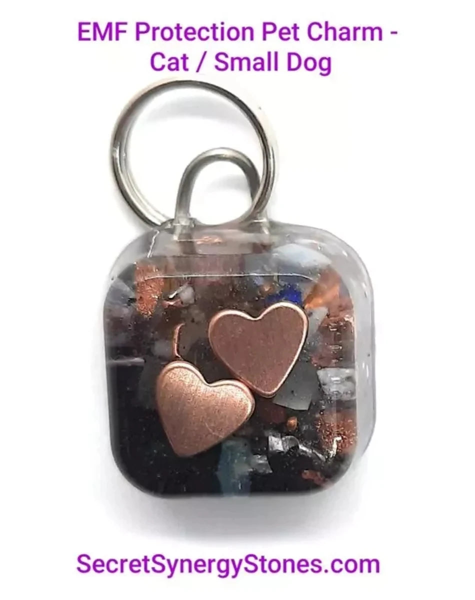 EMF 5 g protection Pet Charm Cat/Sml Dog with Split Ring - Pets Perfect