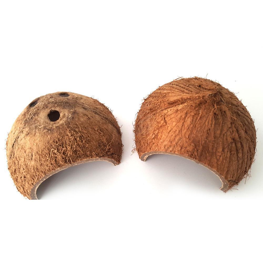 Reptile Retreat: Handmade Coconut Shell Hideout For Turtles, Scorpions, And Lizards - Pets Perfect