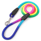Vibrant Nylon Round Handheld Dog Rope - Stylish Pet Leash - Pets Perfect