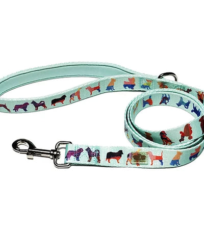DRL 60 in Dog Leash - Pets Perfect