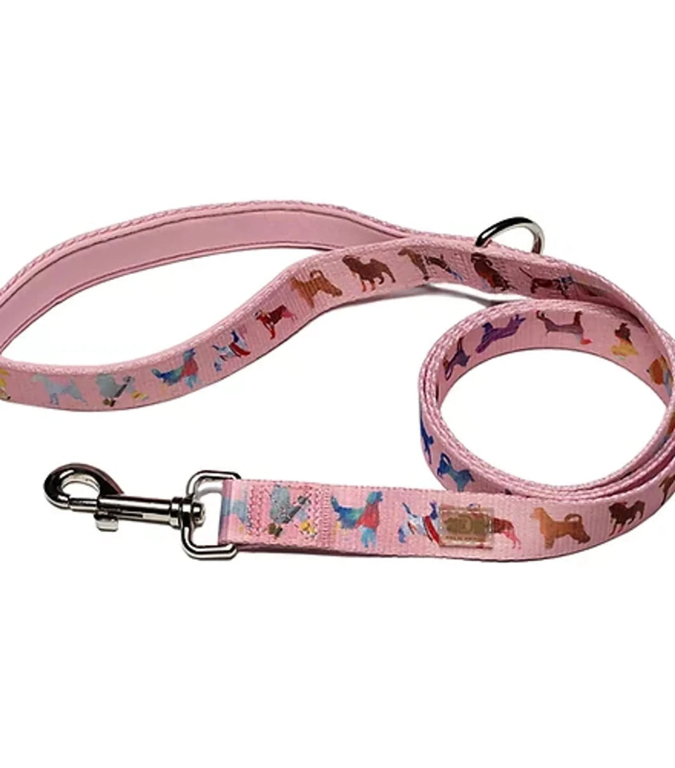 DRL 60 in Dog Leash - Pets Perfect