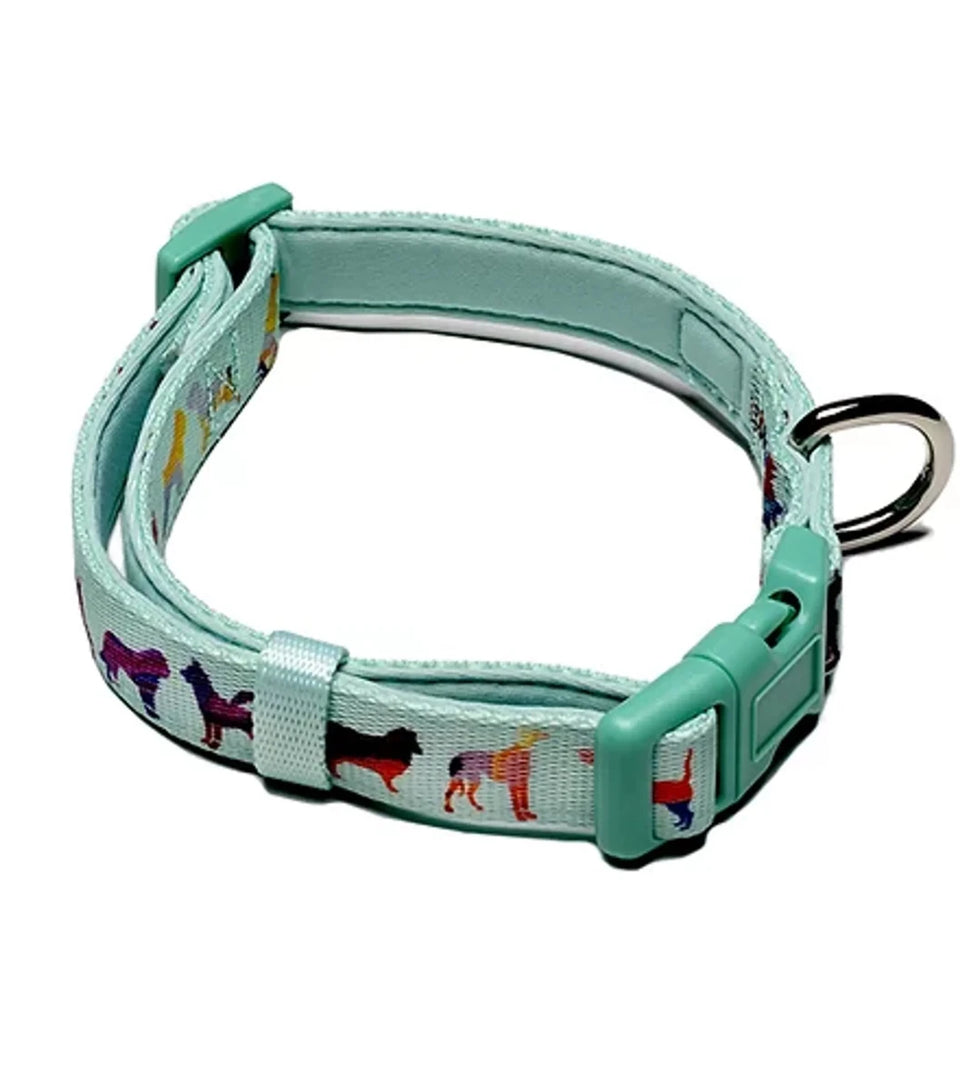 Dog Collar - Pets Perfect