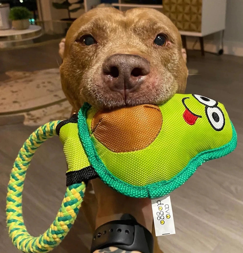 Avo Doggo - Pets Perfect