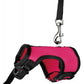 Nylon Leash for Small Pets Adjustable Sizes & Colors - Pets Perfect