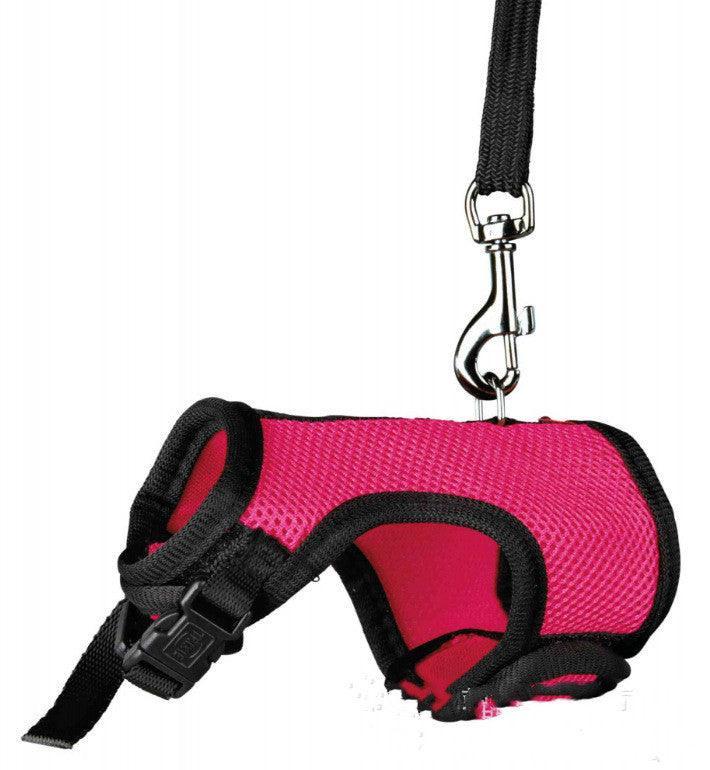 Nylon Leash for Small Pets Adjustable Sizes & Colors - Pets Perfect