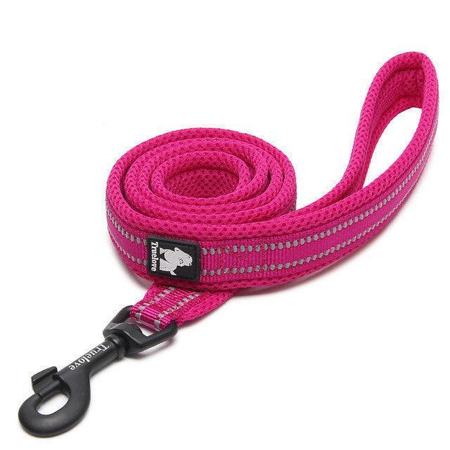 The Ultimate Stretchable Nylon Pet Dog Leash In Vibrant Colors - Pets Perfect