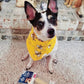 Moo Dog Chews