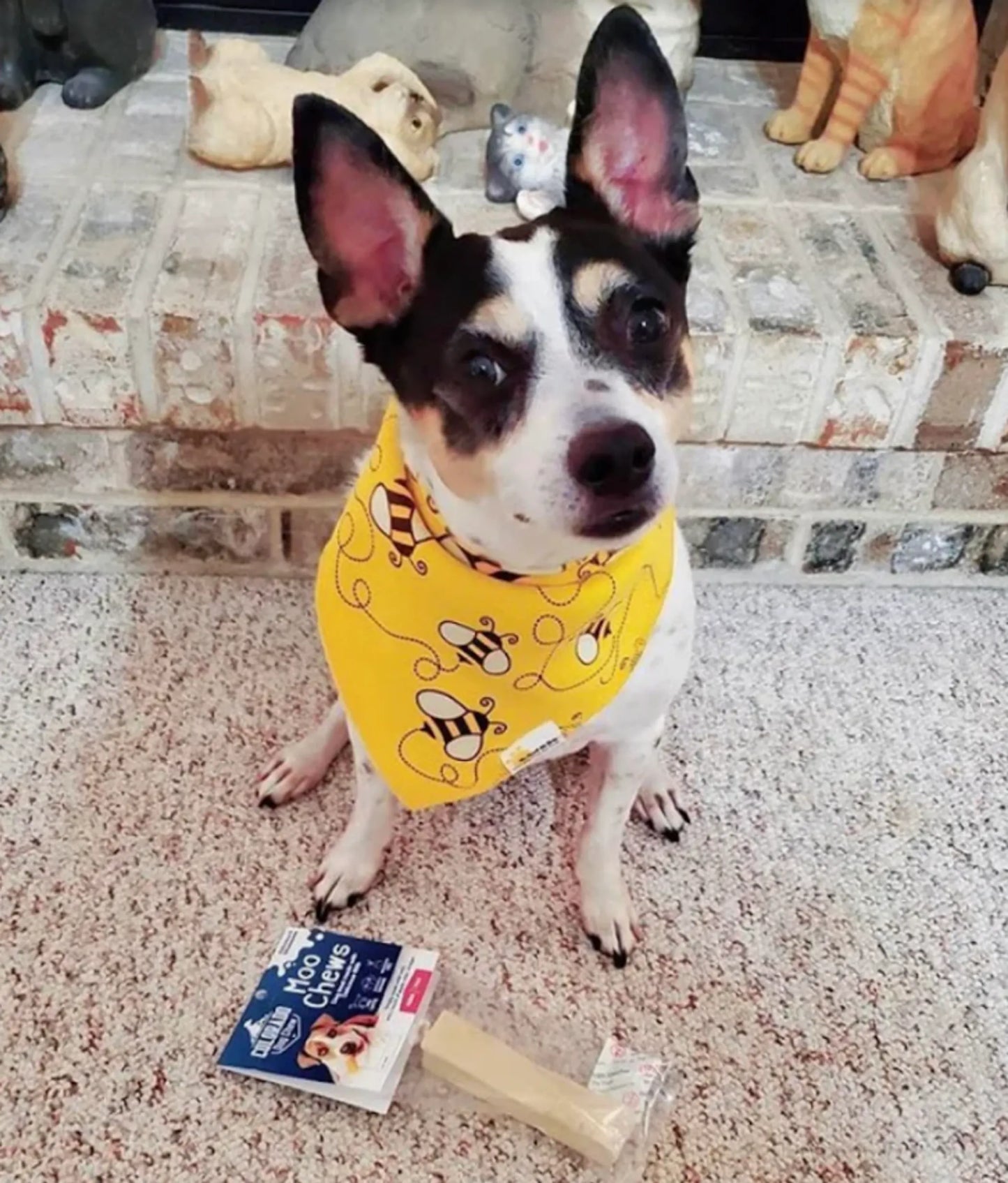 Himalayan Yak Milk Dog Chews - Premium Hard Dental Chews for Aggressive Chewers