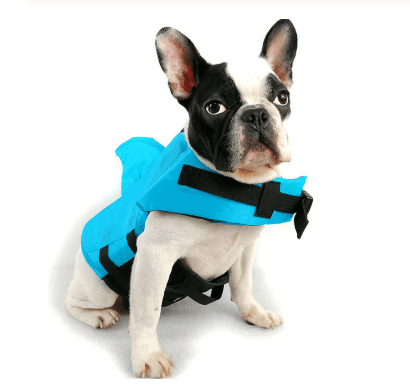 Shark Fin Dog Life Vest - Summer Safety Flotation Jacket for Dogs - Pets Perfect