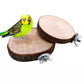 Wooden Springboard for Small Animals - Natural Exercise Toy for Hamsters, Gerbils & Parrots - Pets Perfect