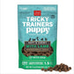 Cloud Star Dog Tricky Trainer Chewy Puppy Lamb 5Oz - Pets Perfect