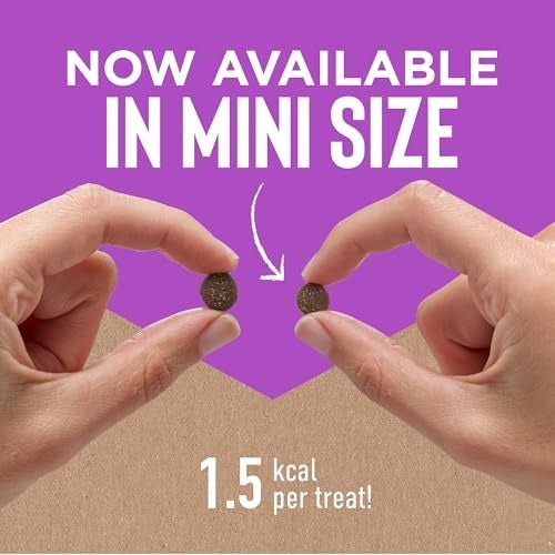 Cloud Star Dog Tricky Trainer Chewy Mini Liver 5Oz - Pets Perfect