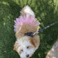 Pink Pom Pom Dog Tutu Skirt (XS)