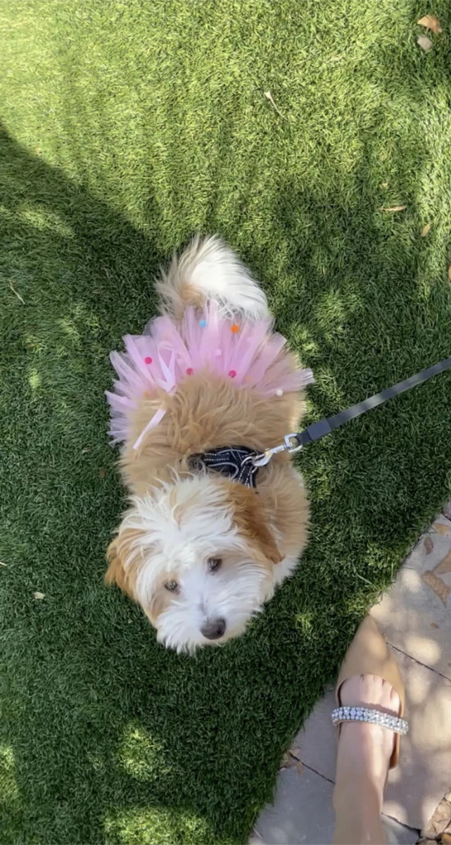 Pink Pom Pom Dog Tutu Skirt - Fluffy Tulle Pet Skirt - Pets Perfect