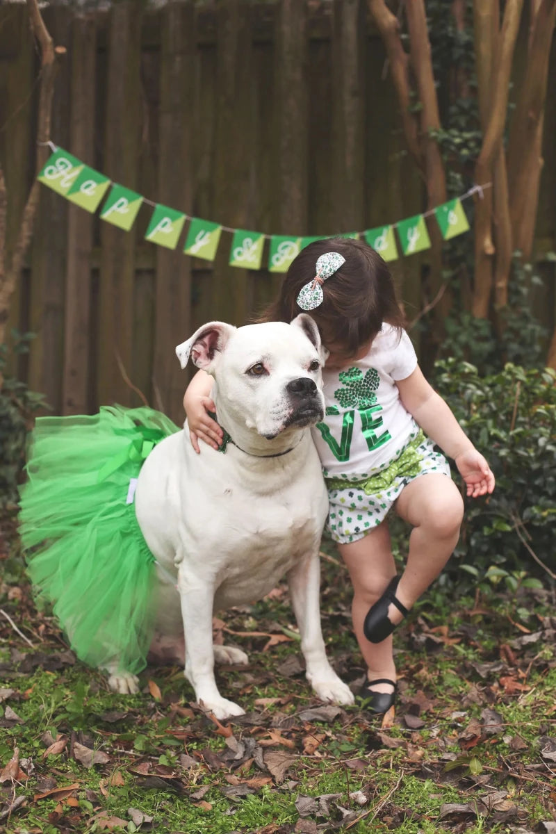 Green Christmas Dog Tutu Skirt - Holiday Tulle Pet Skirt - Pets Perfect
