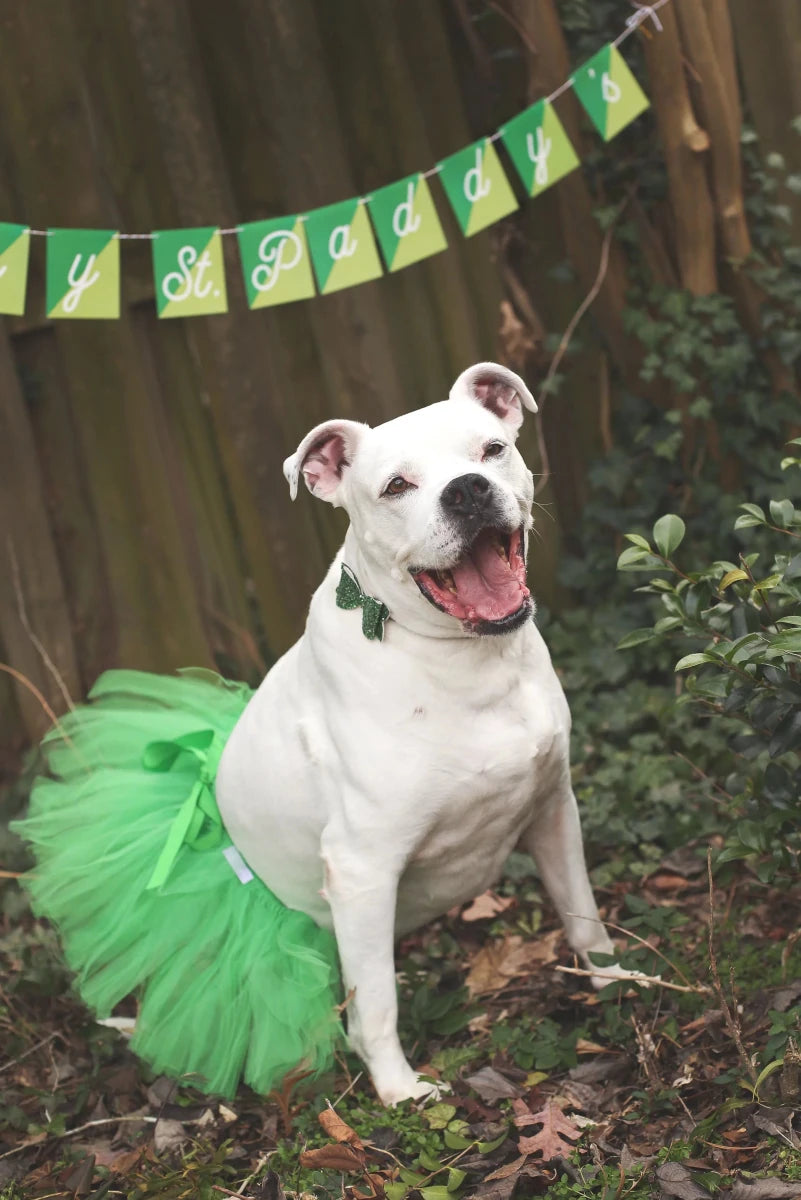 Green Christmas Dog Tutu Skirt - Holiday Tulle Pet Skirt - Pets Perfect