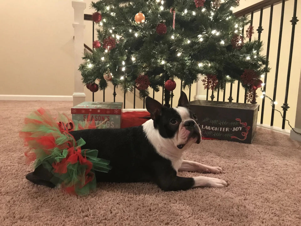 Red & Green Christmas Dog Tutu Skirt - Holiday Tulle Pet Skirt - Pets Perfect