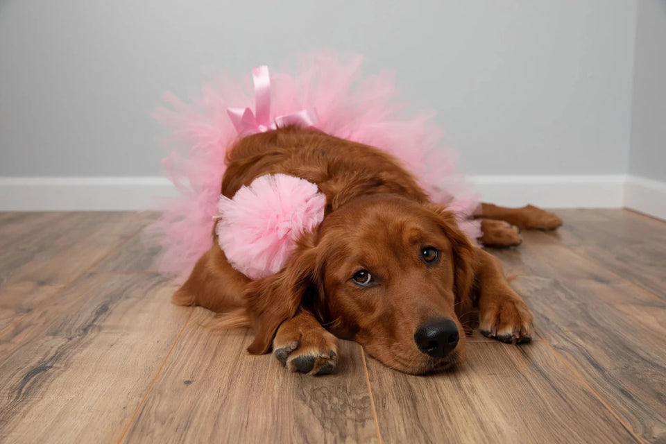 Light Pink Dog Tutu Skirt (XS) - Pets Perfect