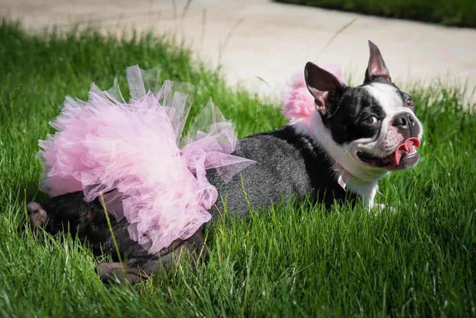 Light Pink Dog Tutu Skirt (XS) - Pets Perfect