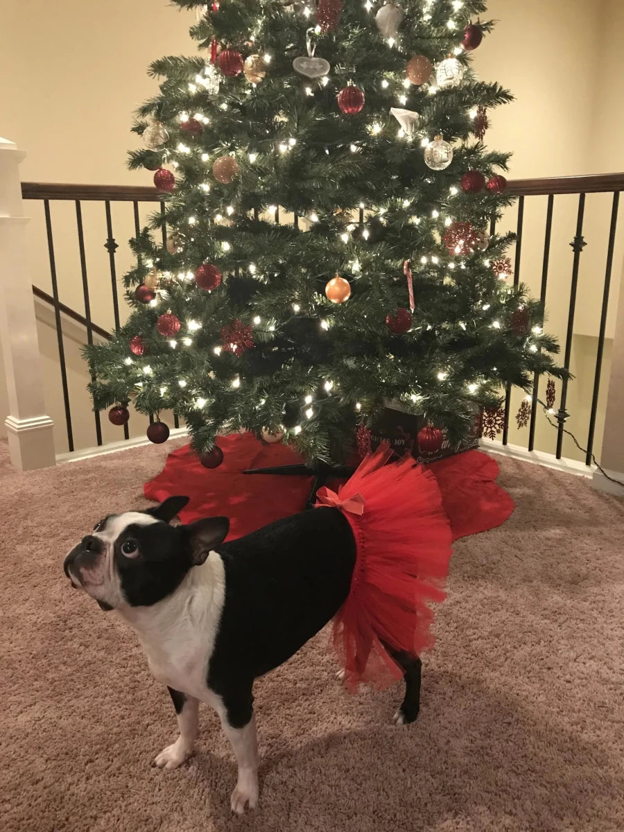 Red Christmas Dog Tutu Skirt - Holiday Tulle Skirt for Dogs & Cats - Pets Perfect