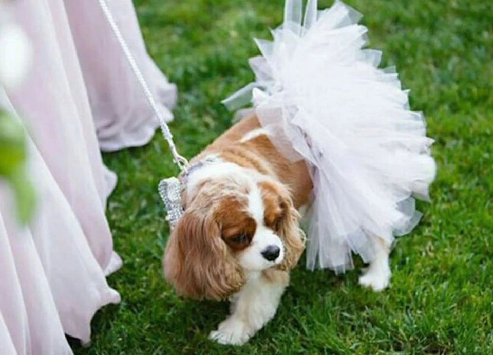 White Bridal Dog Tutu Skirt by Tutu Joli - Pets Perfect