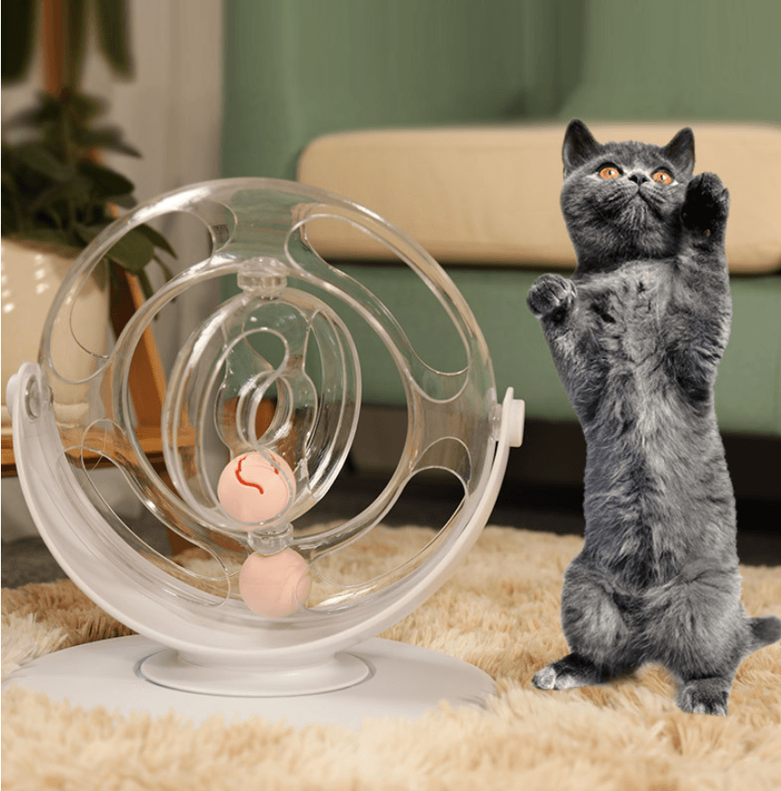 Interactive Kitty Groove: Cat Turntable Educational Toy - Pets Perfect