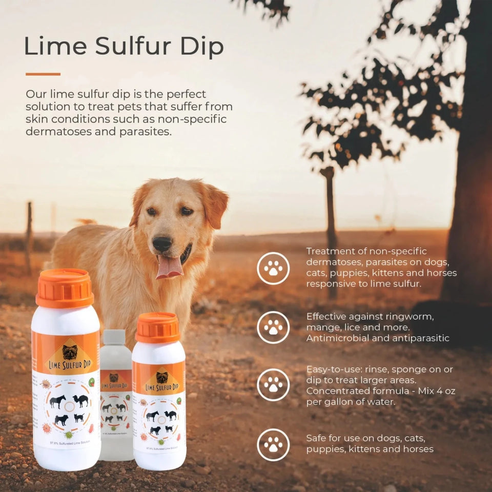 Lime Sulfur Dip - Pet and Veterinary Solution for Dermatitis, Mange, Ringworm and other Parasites - Pets Perfect