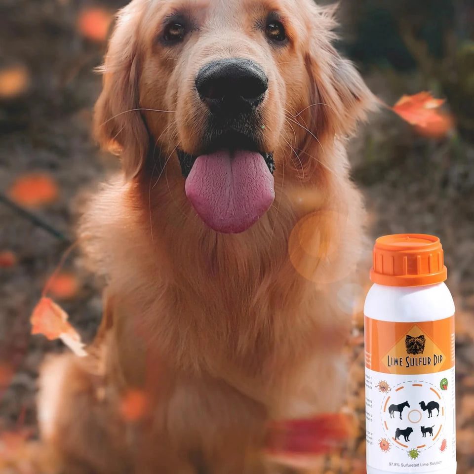 Lime Sulfur Dip - Pet and Veterinary Solution for Dermatitis, Mange, Ringworm and other Parasites - Pets Perfect