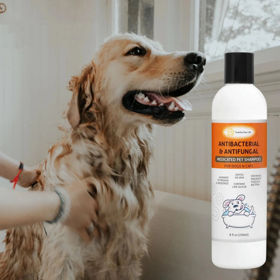 Classic's Lime Sulfur Medicated Dog Shampoo - Antifungal Antibacterial Treatment for Ringworm