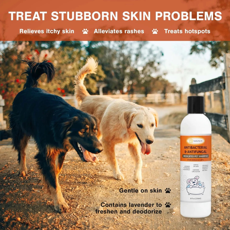 Classic's Lime Sulfur Medicated Dog Shampoo - Antifungal Antibacterial Treatment for Ringworm