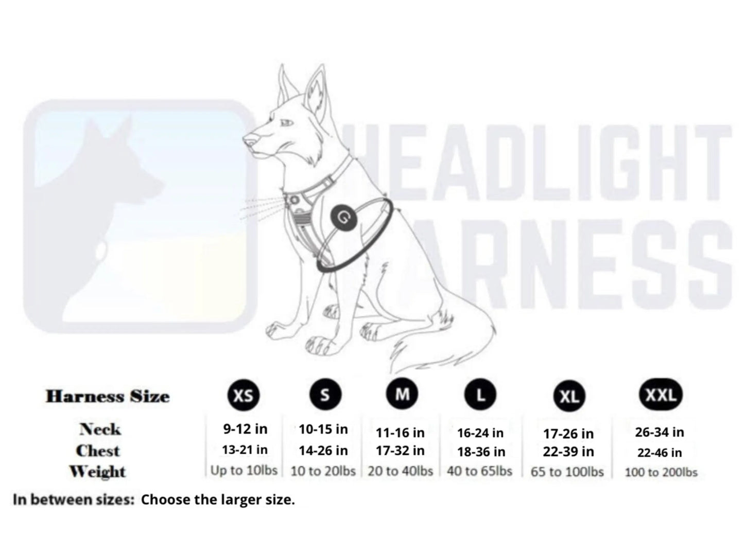 Headlight Harness LED Dog Harness with Built-In Light - XSmall to XXL