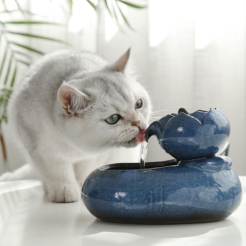 Pet Oasis: Resin Cat Feeder And Water Dispenser - Pets Perfect