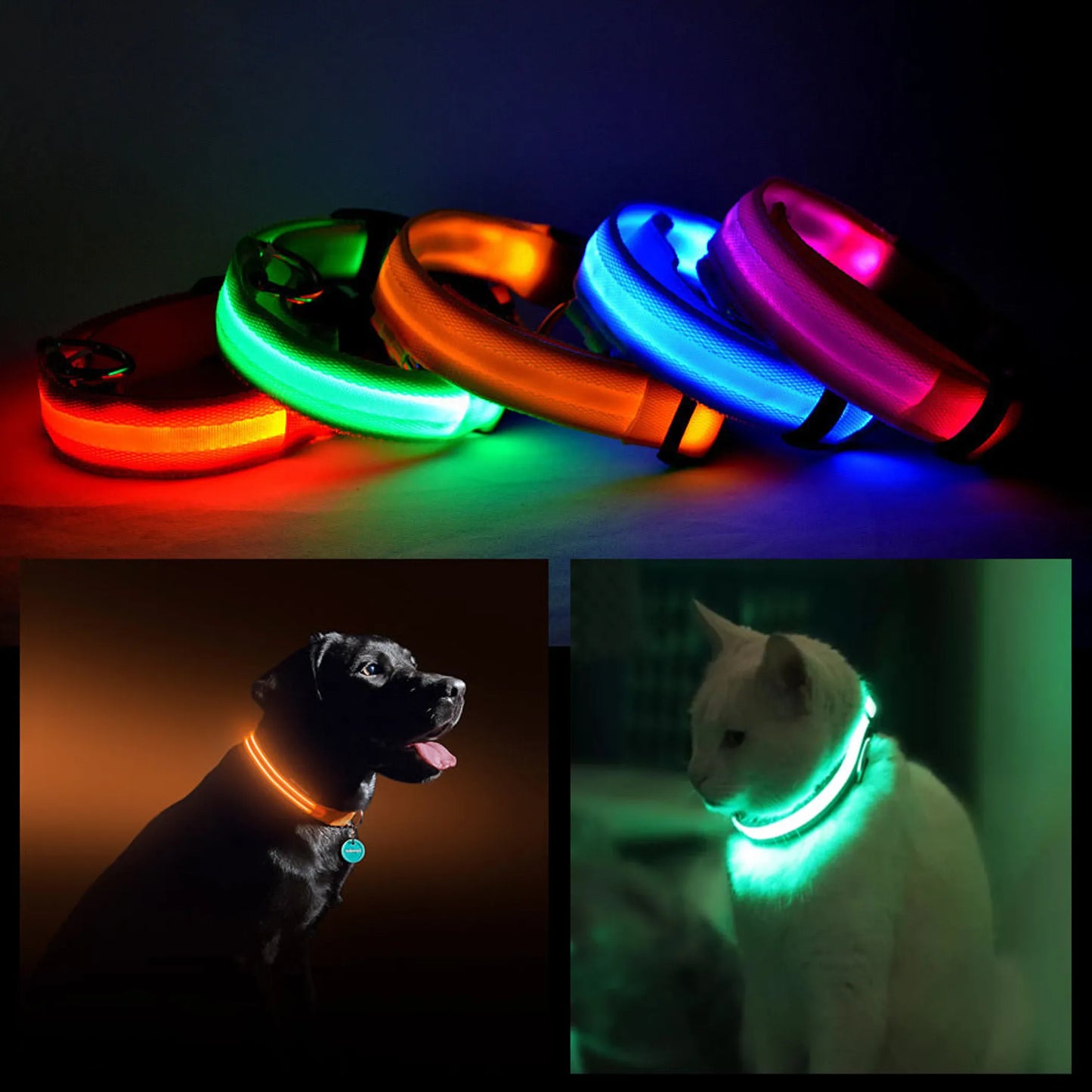 LED PET Safety Halo Style Collar - Pack Of: 1 - Pets Perfect