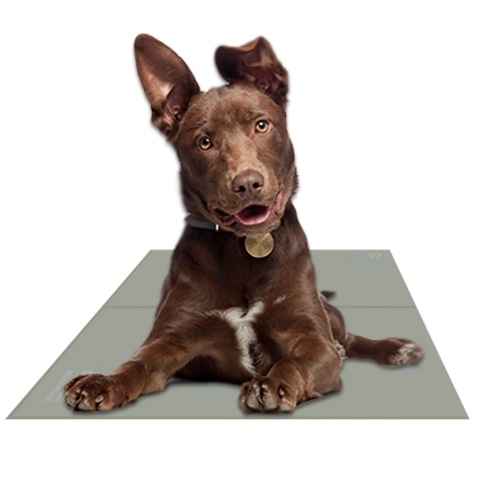 Chillz Gel Mat - Pets Perfect