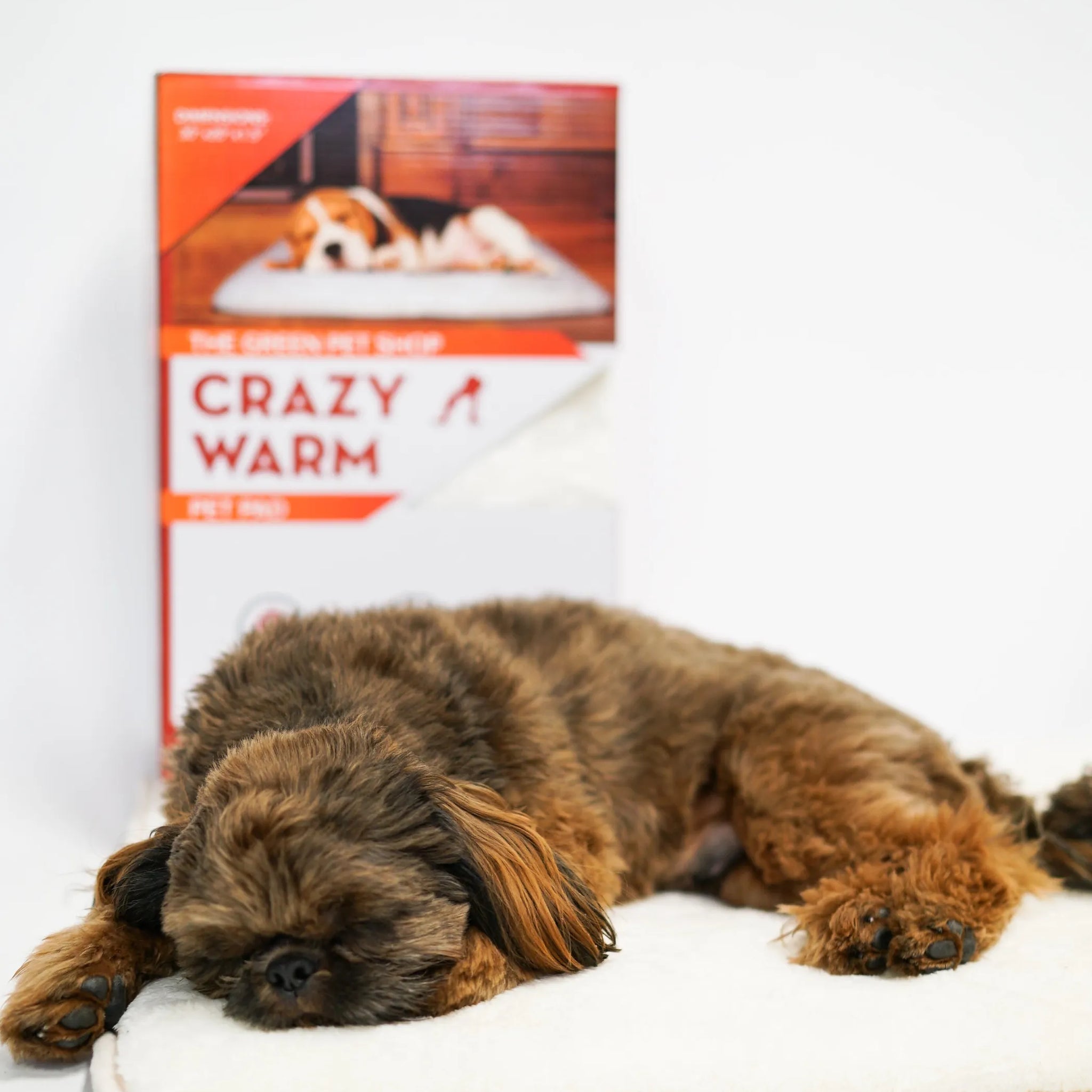 Crazy Warm Pet Pad