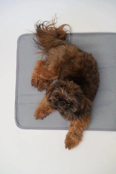 Thera-Pawz Warming Pad - Pets Perfect