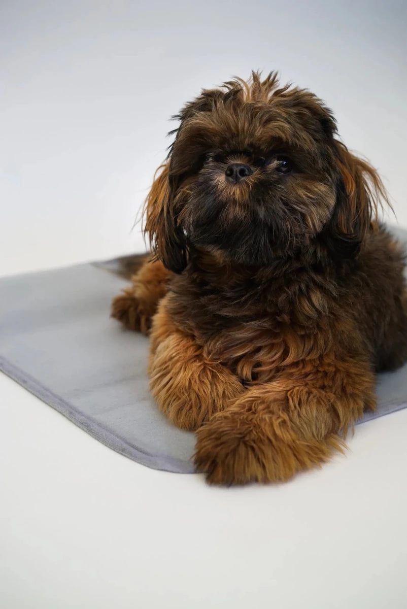 Thera-Pawz Warming Pad - Pets Perfect