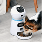 PawsomeFeed Automatic Pet Feeder - Pets Perfect