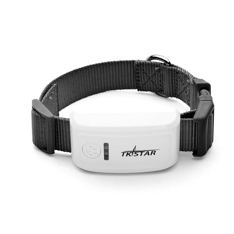 Pettrack Gps: The Ultimate Locator Device For Your Beloved Pets - Pets Perfect