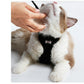 Ultimate Grip Cat Harness - Pets Perfect