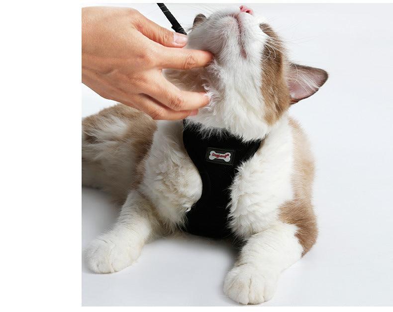 Ultimate Grip Cat Harness - Pets Perfect