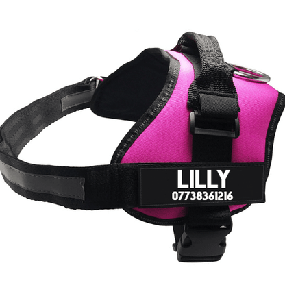 Ultimate Pet Adventure Set: Adjustable Chest Harness With Dog Leash - Pets Perfect