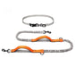 Ultimate Outdoor Adventure Dog Leash - Pets Perfect
