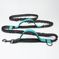 Ultimate Hands - Free Reflective Dog Leash With Multi - Function Features - Pets Perfect