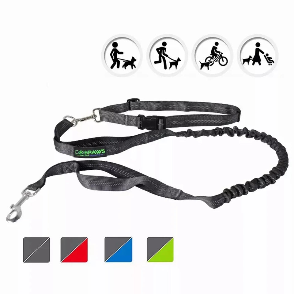 JESPET Hands-Free Dog Leash with Reflective Bungee, Medium/Large Dogs - Pets Perfect