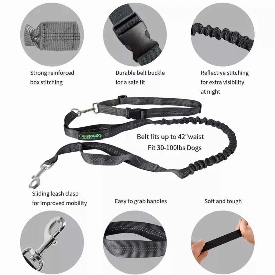 JESPET Hands-Free Dog Leash with Reflective Bungee, Medium/Large Dogs - Pets Perfect