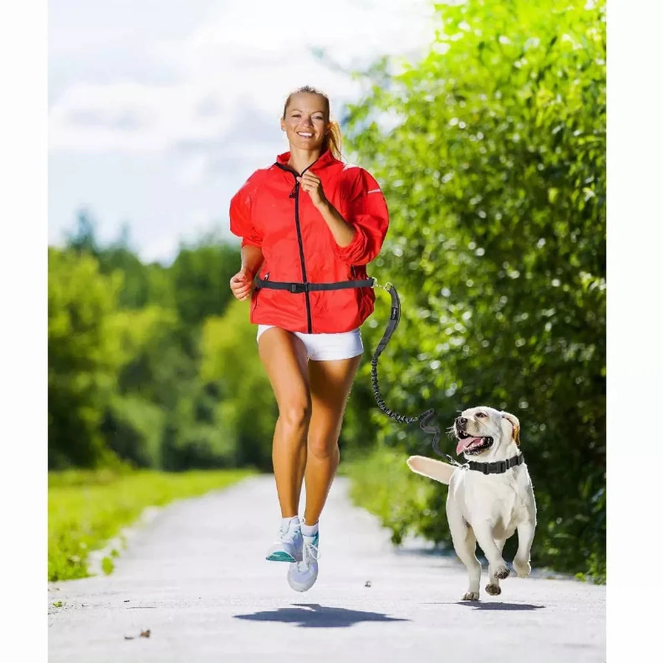 JESPET Hands-Free Dog Leash with Reflective Bungee, Medium/Large Dogs - Pets Perfect